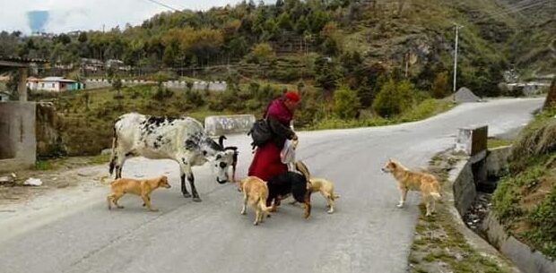 Bene Village in Arunachal's West Siang district