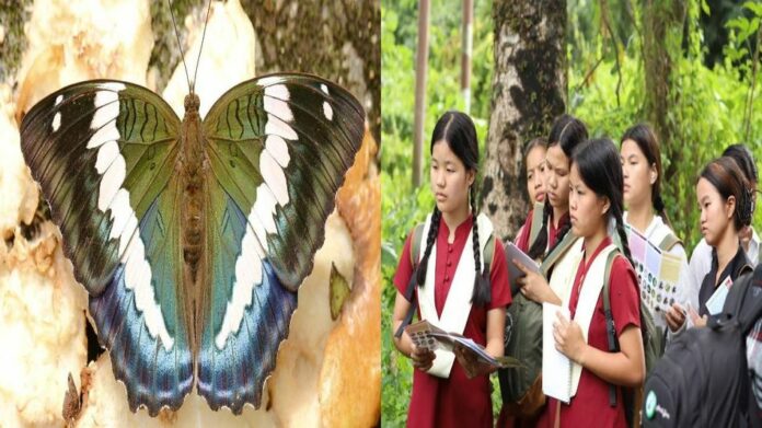 69006b879718c-butterfly-meet-280641985-16x9