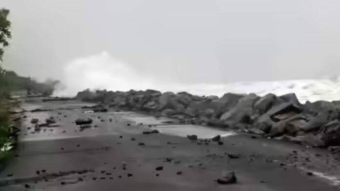 WhatsApp Image 2025-10-29 at 9.14.55 AM