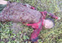 Unidentified dead body of a woman recovered from Janali river in Nasraibil