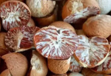 ATMA Sponsored Two-Day Kisan Mela held in Haflong