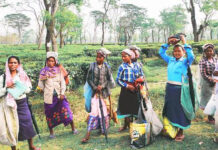 Digboi Observes Shutdown over Alleged Killing of Tea Garden Worker