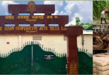 Production of Silghat Jute Mill halted amidst raw material shortage
