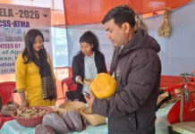 ATMA Sponsored Two-Day Kisan Mela held in Haflong