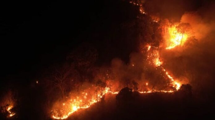 IAF Deploys Mi-17 V5 Helicopter to Fight Forest Fire in Arunachal’s Pasighat, Drops 66,000 Litres of Water