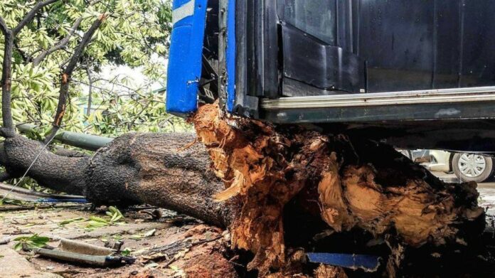 Four Killed, 10 Injured as Bus Crashes into Tree in Assam’s Karbi Anglong