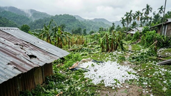 Meghalaya CM Reviews Hailstorm Damage, Orders Immediate Relief