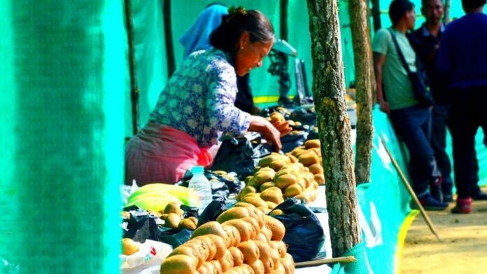 Kiwi Farming Emerges as Key Economic Driver in Senapati, Farmers Seek Infrastructure Support