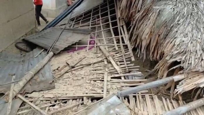 Mother, Son Killed in Elephant Attack at Tea Garden in Assam’s Tinsukia