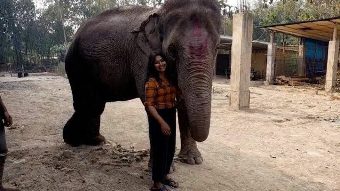 International Women’s Day: Bokakhat’s ‘Elephant Girl’ Shama Parmeesh Ahmed Continues Family Legacy of Caring for Elephants