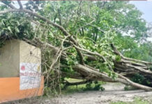 Storm Wreaks Havoc in Dibrugarh Villages, Residents Seek Relief