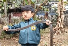 Young snake rescuer Raj Sourav Borkotoki from Tezpur draws attention