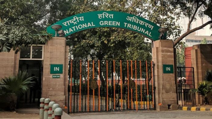 NGT Stays Assam Govt Order to Deploy Forest Personnel for Election Duties Ahead of April 9 Polls