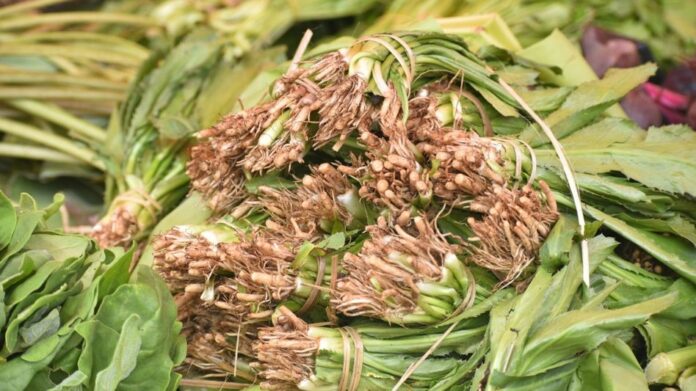 Rising Footfall Marks Growing Demand at Meghalaya’s Monthly Farmers’ Market