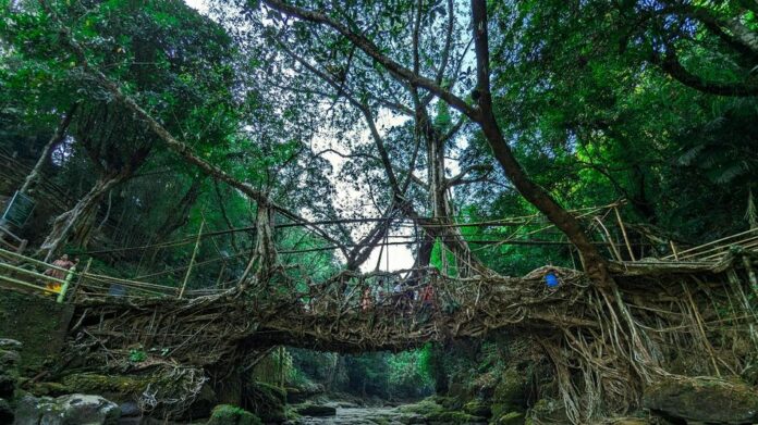 Meghalaya grants official status to Khasi and Garo languages