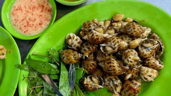 Manipur’s Traditional Snail Dish Draws Scientific Interest as Sustainable Protein Source