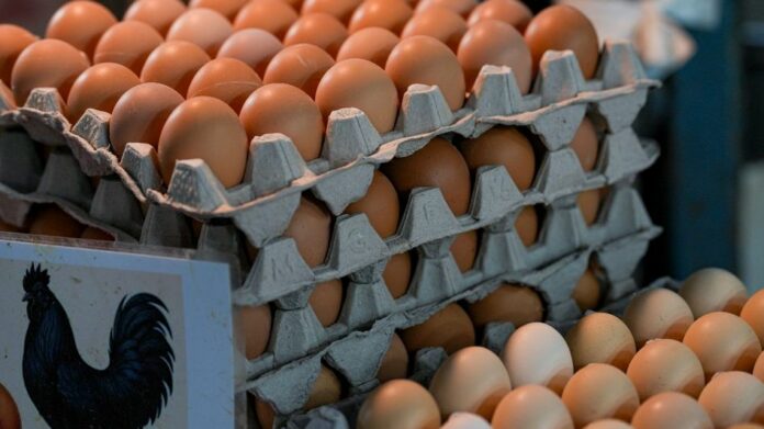 Nagaland Imports Meat Worth ₹263 Crore as Local Production Meets Less Than Half of Demand