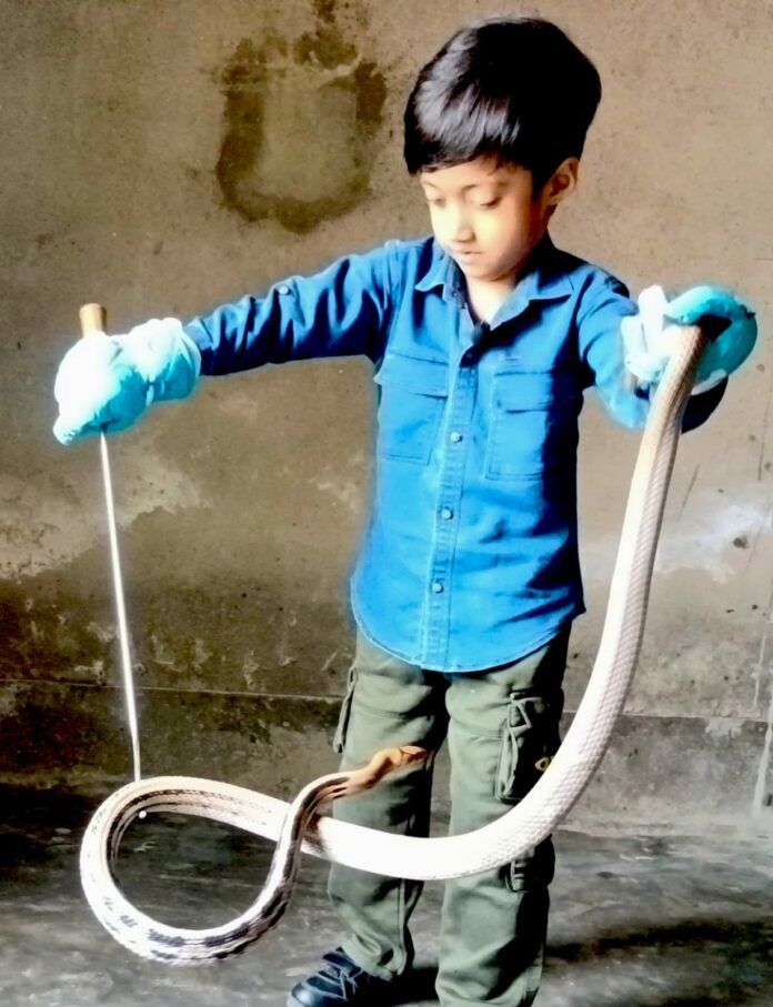 Young snake rescuer Raj Saurav Borkotoki earns recognition in Sonitpur