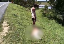 Calf Killed on NH-15 Near Kakopathar, Renewing Safety Concerns After Fatal Crash Calf Killed on NH-15 Near Kakopathar, Renewing Safety Concerns After Fatal Crash