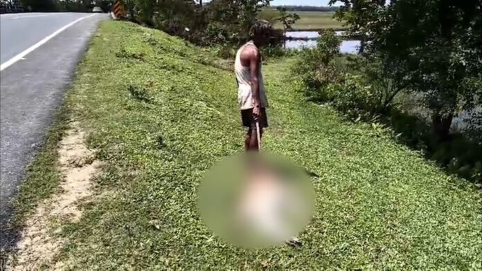 Calf Killed on NH-15 Near Kakopathar, Renewing Safety Concerns After Fatal Crash