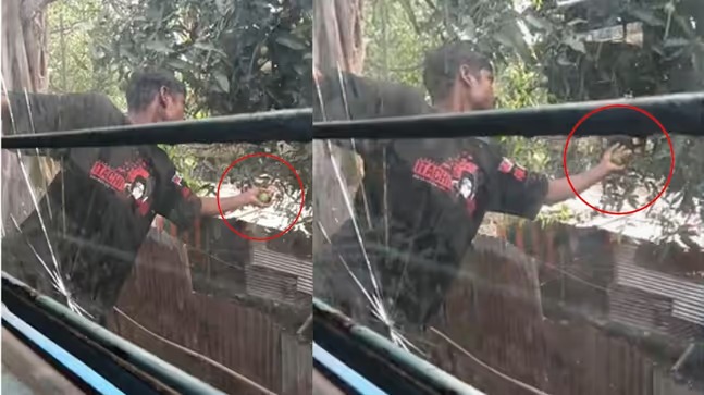 Teenagers Risk Lives on Moving Train to Pluck Mangoes in Tinsukia, Raising Safety Concerns