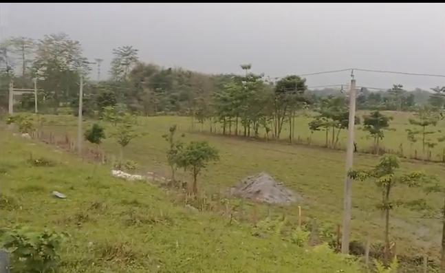 Urban Expansion in Tinsukia Raises Alarm Over Loss of Farmland and Ecological Balance