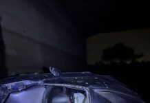 Two Killed, One Injured in Late-Night Road Accident in Tezpur