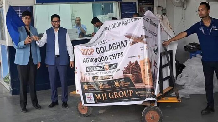 Assam Exports First Legally Approved Agarwood Consignment Worth Rs 2.35 Crore to Gulf Countries