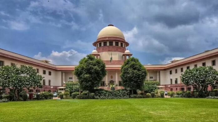 Supreme Court Declines to Alter Order on Removal of Stray Dogs From Public Institutions