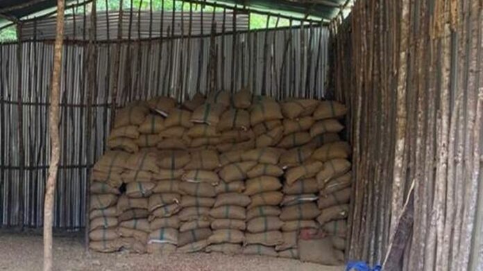 DRI Seizes 60,000 Kg of Smuggled Areca Nuts in Northeast, Five Arrested