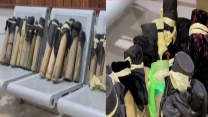 26 Rare Tokay Geckos Worth Crores Rescued in Guwahati, Two Held in Wildlife Smuggling Case