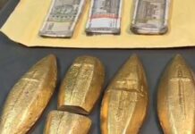 Fake Gold Smuggler Held in Kamrup, Nearly 6 Kg Counterfeit Gold Seized Fake Gold Smuggler Held in Kamrup, Nearly 6 Kg Counterfeit Gold Seized