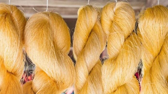 Centre Launches Rs 411-Crore Mission Senehjori to Transform Assam’s Muga Silk Industry