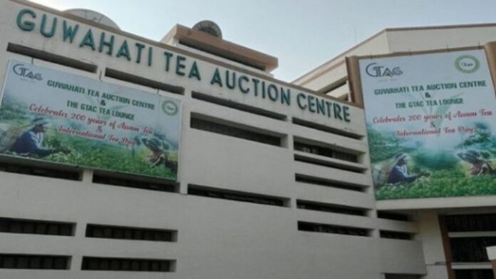 GTAC Sees Record Tea Prices as Premium Assam Lots Fetch Over ₹1,100 per Kg