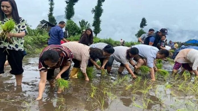 Sikkim to Host First International Agro Tourism Festival with Participation from India, Nepal and Bhutan