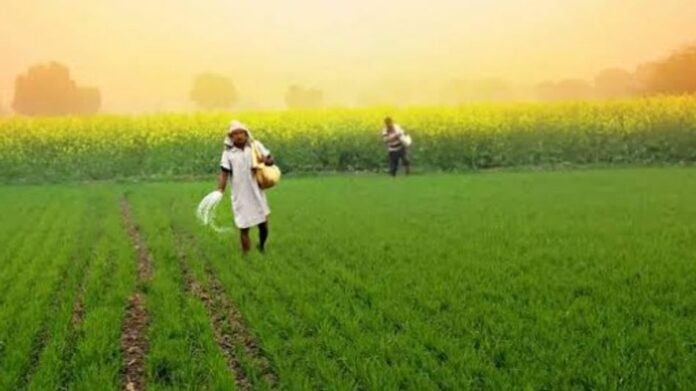 Assam’s Agri Stack to Benefit 12.8 Lakh Farmers, Transform Fertiliser and MSP Systems: CM Himanta Biswa Sarma