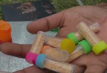 Alleged Drug Peddler Arrested With Suspected Narcotics in Assam’s Sivasagar Alleged Drug Peddler Arrested With Suspected Narcotics in Assam’s Sivasagar