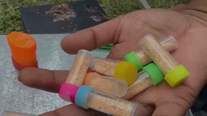 Alleged Drug Peddler Arrested With Suspected Narcotics in Assam’s Sivasagar