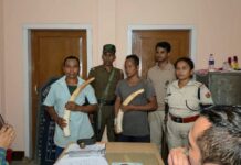 Two Arrested, Suspected Elephant Ivory Seized Near Assam–Meghalaya Border Two Arrested, Suspected Elephant Ivory Seized Near Assam–Meghalaya Border