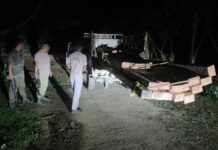 Forest Department Seizes Illegal Sal Timber Worth Lakhs in Kamrup District Forest Department Seizes Illegal Sal Timber Worth Lakhs in Kamrup District