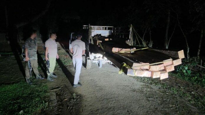 Forest Department Seizes Illegal Sal Timber Worth Lakhs in Kamrup District