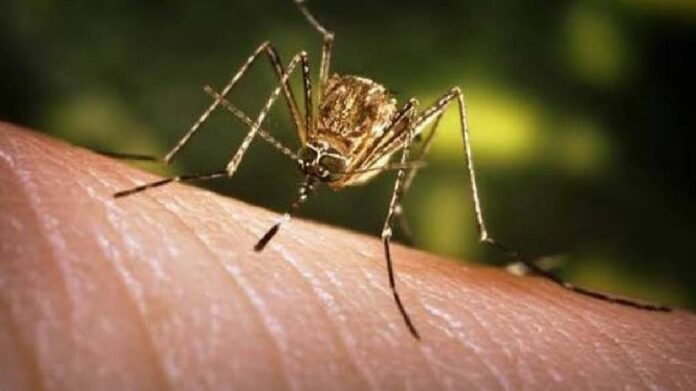 Japanese Encephalitis Cases Rise in Assam’s Rangia, Two Deaths Reported