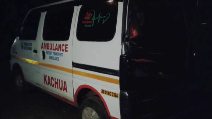 Two Children Drown in Pond in Nagaon’s Kachua