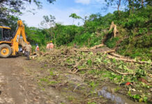 Deepor Beel: Can Development and Conservation Coexist?