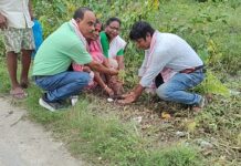 ‘Bishnu Jyoti Path’ Inaugurated in Monujuli Village; Locals Urge Early Blacktopping and Drainage Upgrade ‘Bishnu Jyoti Path’ Inaugurated in Monujuli Village; Locals Urge Early Blacktopping and Drainage Upgrade