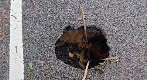 Sinkhole-like Cavity Appears on Recently Renovated Road in Nagaon, Allegations of Poor Work Surface