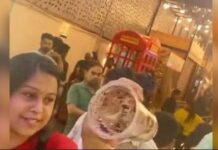 Cockroach Allegation at Dibrugarh Food Outlet Triggers Concerns Over Hygiene Standards Cockroach Allegation at Dibrugarh Food Outlet Triggers Concerns Over Hygiene Standards