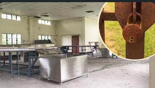 Unused Cold Storage Facility in Assam’s Nagaon Raises Concerns Amid Farmers’ Storage Crisis