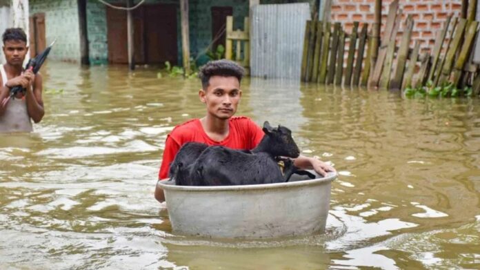 Assam Floods Affect Over 46,000 People; First Flood-Related Death Reported This Season