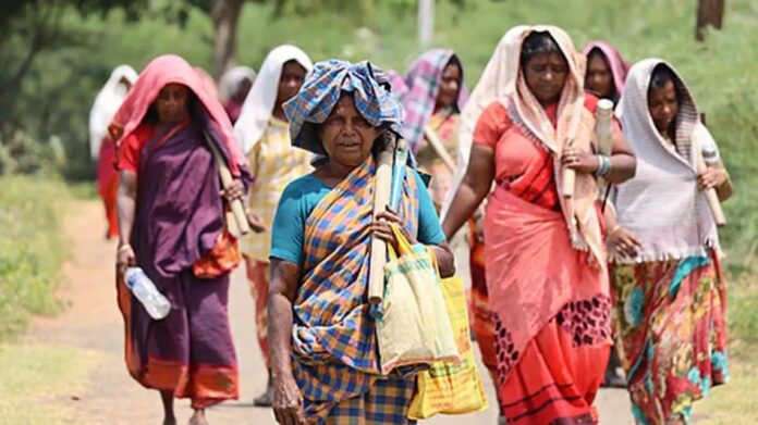 Centre Sanctions Rs 1,040 Crore for Tripura Under New VB-GRAM G Rural Employment Scheme